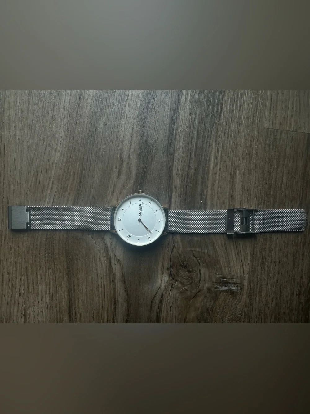 Skagen Silver Dial Watch with Silver Mesh Band